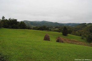 02 - Altipiano di Zlatibor