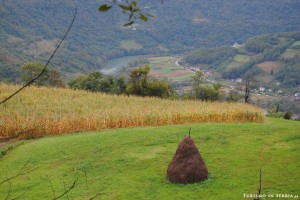 03 - Altipiano di Zlatibor