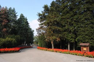 MONTE AVALA: uno dei tanti sentieri alberati