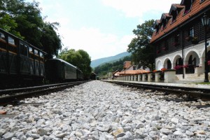 11 - Zlatibor e dintorni