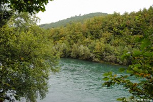 16 - Zlatibor e dintorni - Fiume Drina