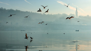 09 - Belgrade Waterfront